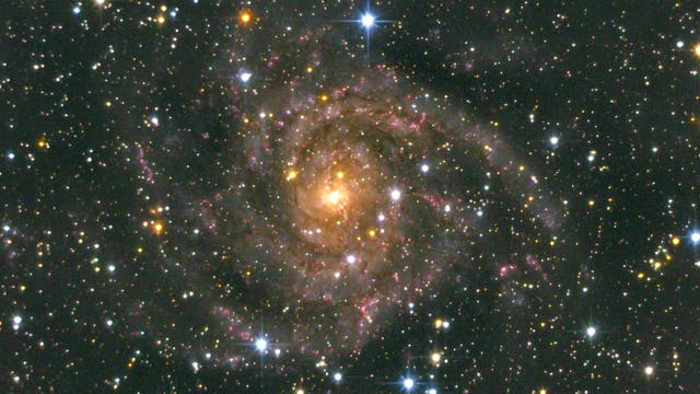 Die Galaxie IC 342, ein Juwel am nördlichen Sternenhimmel