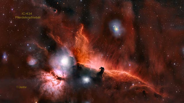 IC 434: Der Pferdekopfnebel