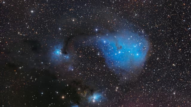 IC 447