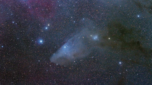 "Blauer Pferdekopfnebel" IC 4592 im Skorpion
