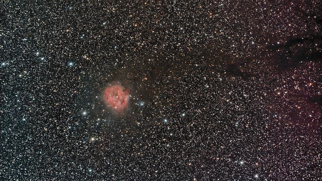 Kokon-Nebel und Barnard 168