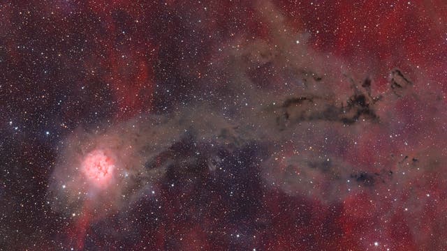 IC 5146, Kokon-Nebel mit Staubschweif