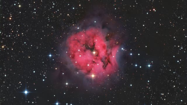  IC 5146 , der Kokon-Nebel im Schwan 