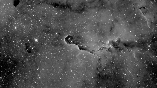 IC 1396A - Elefantenrüsselnebel