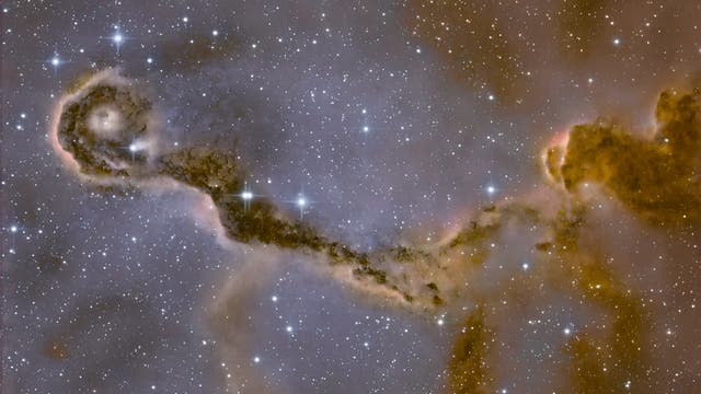 IC 1396A Elefantenrüssel-Nebel