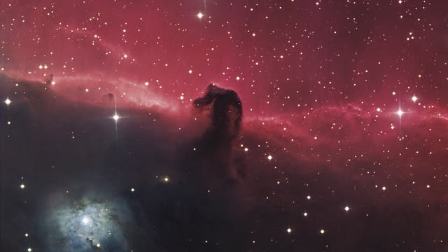 Pferdekopfnebel mit NGC 2023