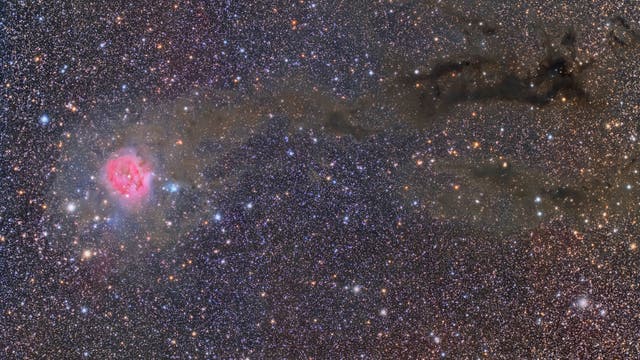 IC 5146, der Kokonnebel