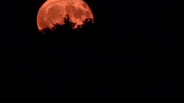 Erdbeermond am 11. Juni 2025, Nr 2