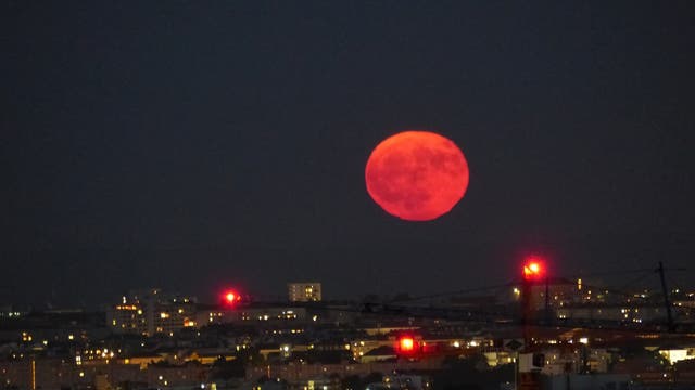 Erdbeermond über Wien
