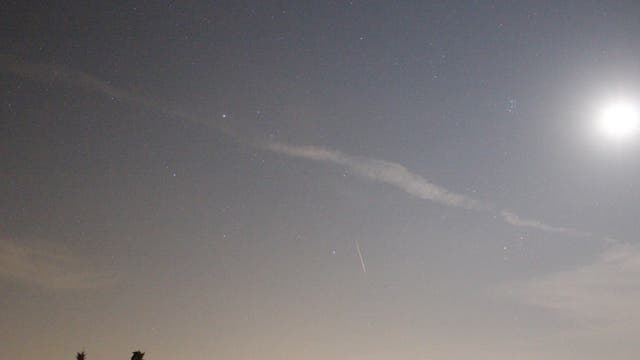 Perseiden-Meteor, Bild 1