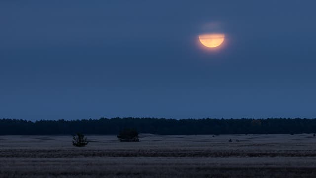 Mondaufgang über der Lieberoser Wüste