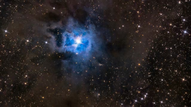 Iris Nebel NGC 7023