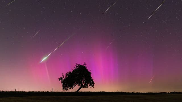 Polarlichter und Perseiden 