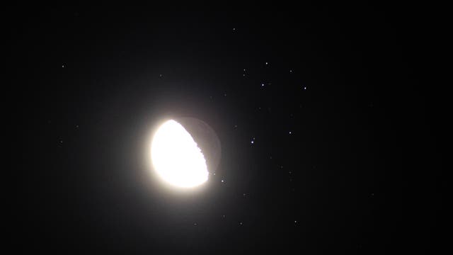 Der Mond in den Plejaden: Pleione taucht wieder am dunklen Mondrand auf