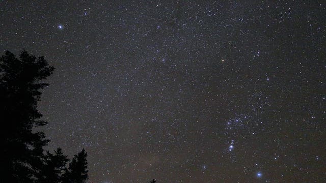 Wintermilchstraße im Einhorn (Monoceros) mit Orion, Sirius und Prokyon