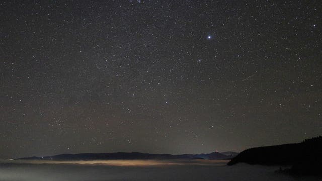 Sirius und Sternbild Canis Major über dem Nebelmeer