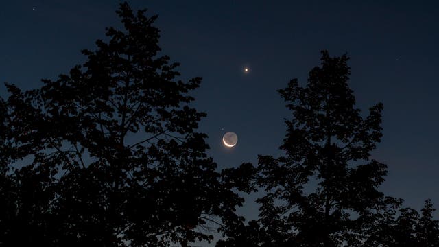 Mondsichel trifft auf Venus und Regulus... (bei 75 mm)