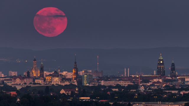 Mondaufgang über Dresden
