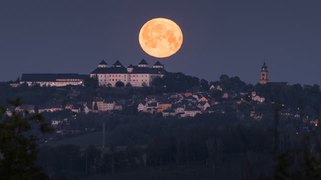 Monduntergang über der Augustusburg