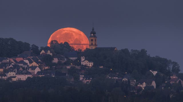Monduntergang über der Augustusburg 2