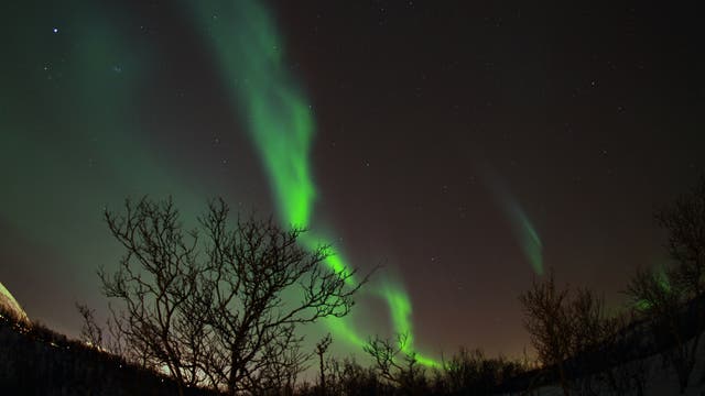 Polarlicht in Tromsø
