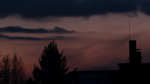 Abendstern Venus
