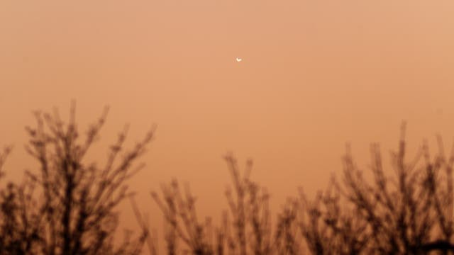 Venus am Morgenhimmel