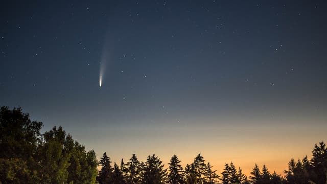 Komet NEOWISE 