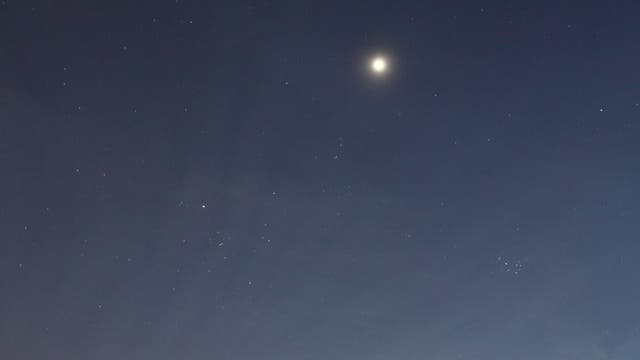 Venus im Sternbild Stier 2