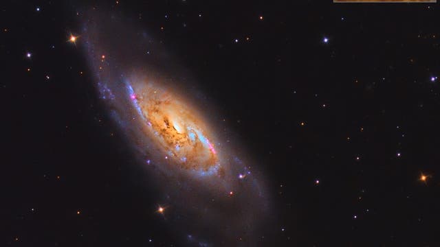 M 106 - SN 2014 bc