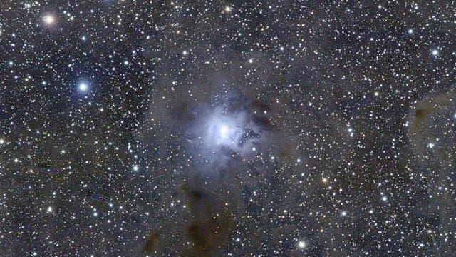 Der Irisnebel - NGC 7023