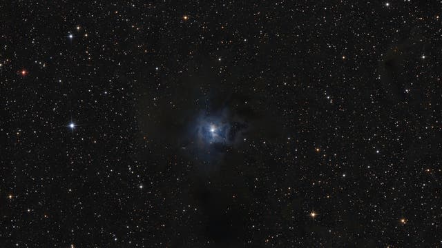 NGC 7023, der Irisnebel