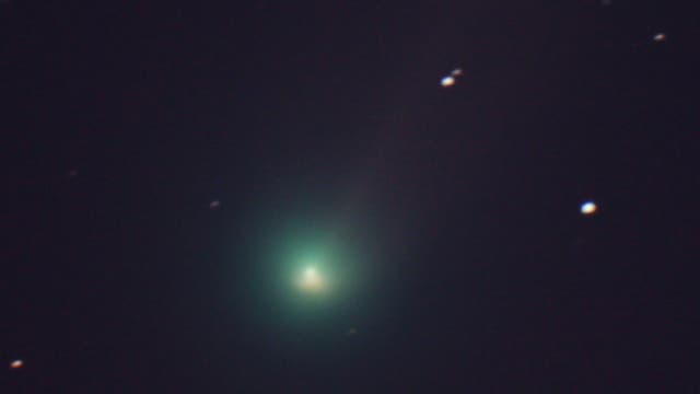 Komet C/2013 R1 (Lovejoy) - innere Koma