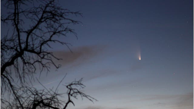 Komet PANSTARRS am 19.3.2013