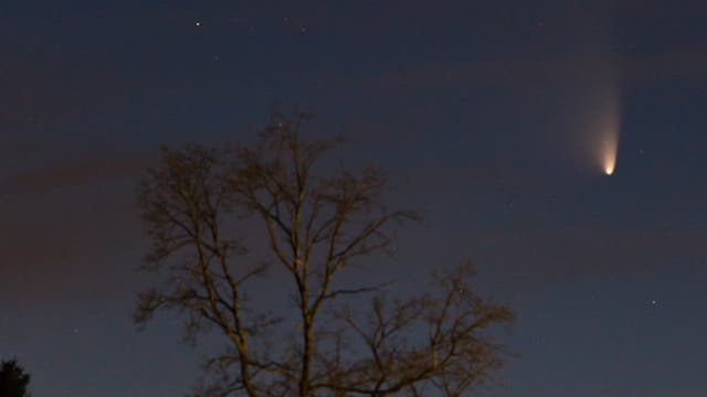 Komet PANSTARRS vom 19.03.2013