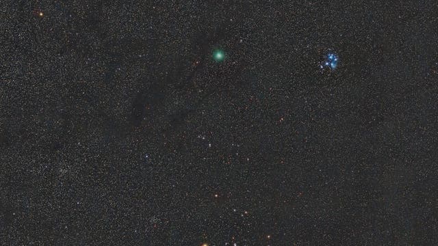 Komet 46P/Wirtanen im Stier