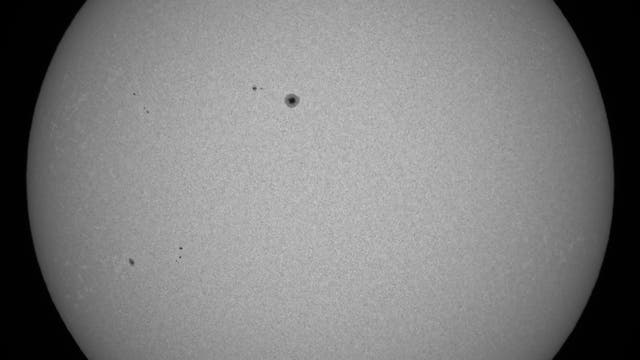 Ganze Sonne im Weißlicht am 18. Mai