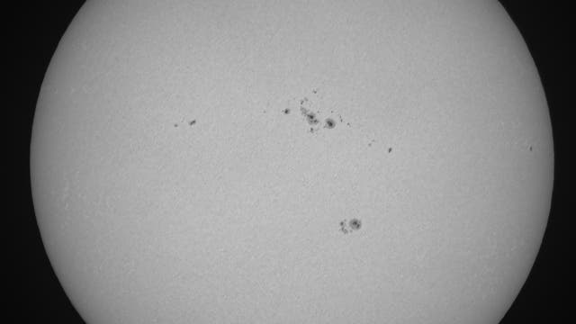 Ganze Sonne im Weißlicht am 1. Juni