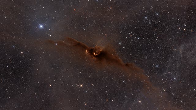 LDN 43 - Kosmischer Fledermausnebel