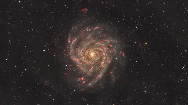 IC342 Versteckte Galaxie