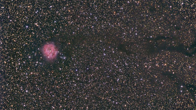IC 5146 Cocoonnebel mit Dunkelnebel Bernard 168 Widefield