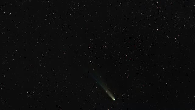 Komet C/2025 A6 (Lemmon)