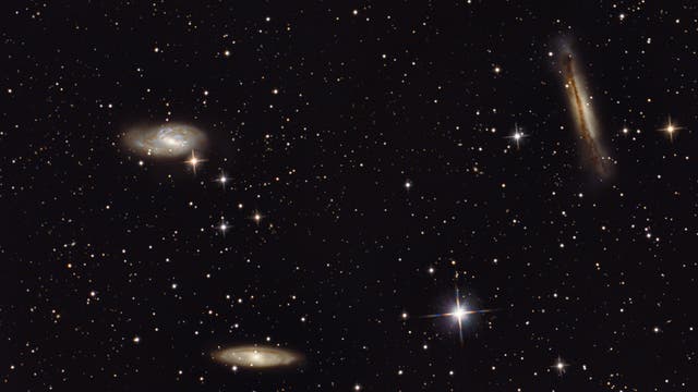 Leo-Triplett