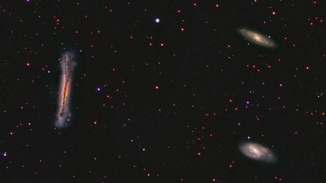 Leo Triplet: NGC 3628, M65 und M66