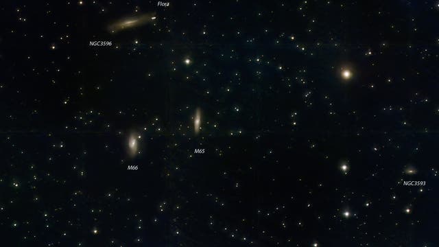 Asteroid Flora passiert das Leo-Triplett