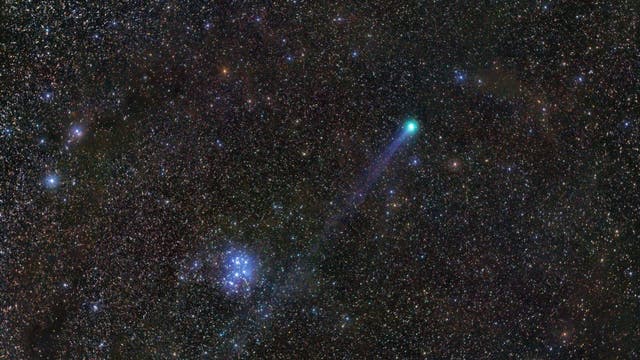 Plejaden mit Komet Lovejoy 