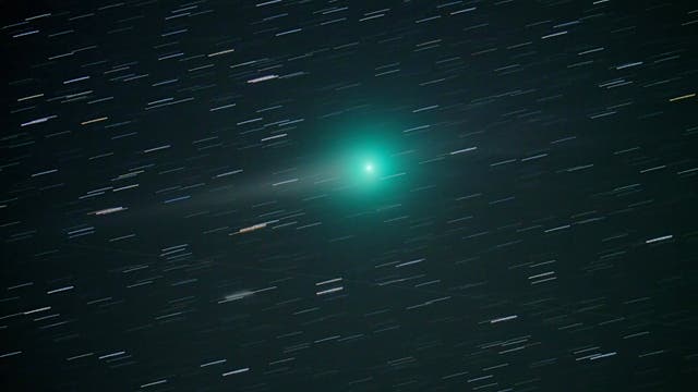 Komet C/2007 N3 am 20.2.2009