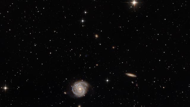 Messier 100