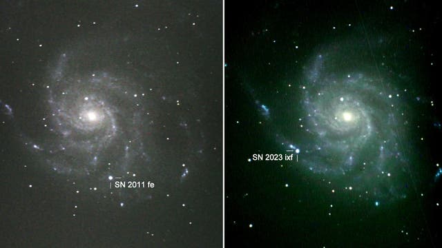 Supernovae in Messier 101