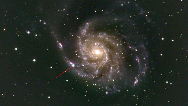 SN 2023ixf in M 101